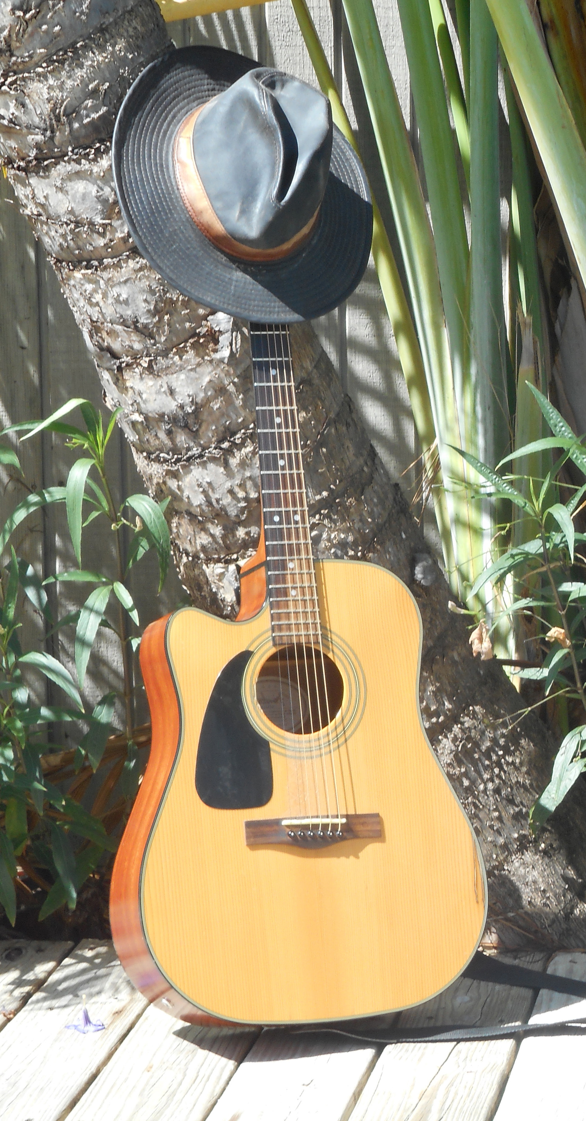 guitar1