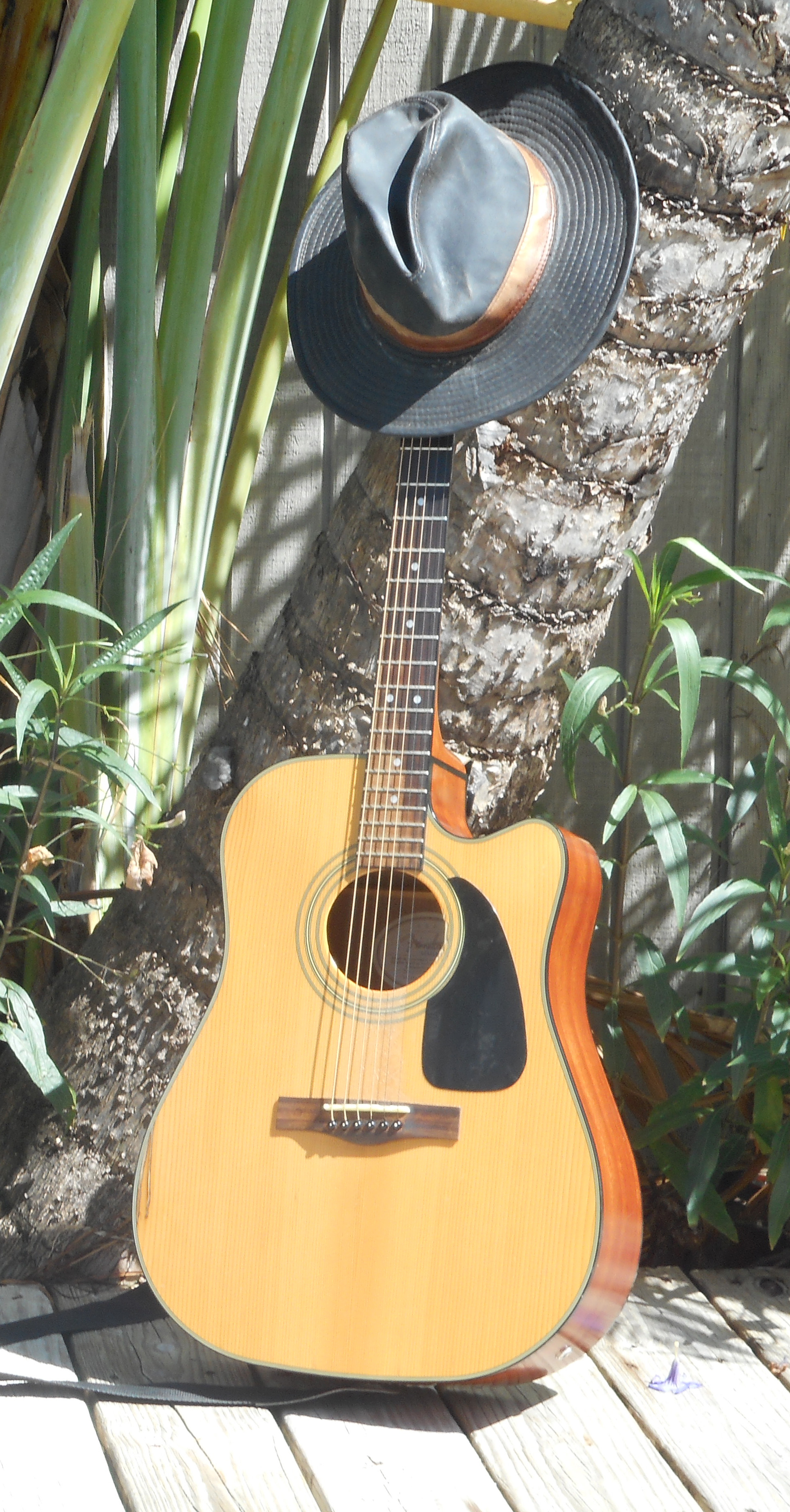 guitar2